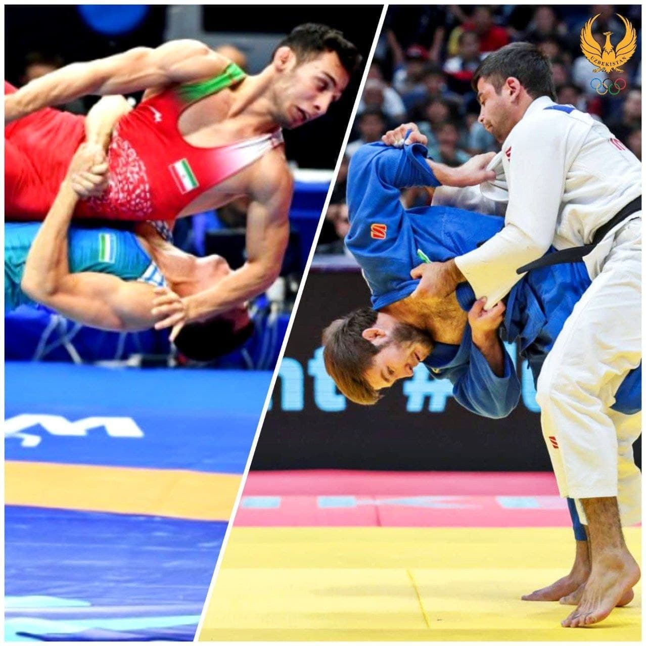 Бугун икки спорт турида Ўзбекистон чемпионати старт олмоқда