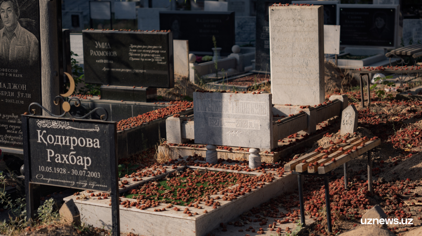 Қабристонларда қабрлар атрофини тўсиқлар билан ўраш тақиқланмоқда — қонун лойиҳаси