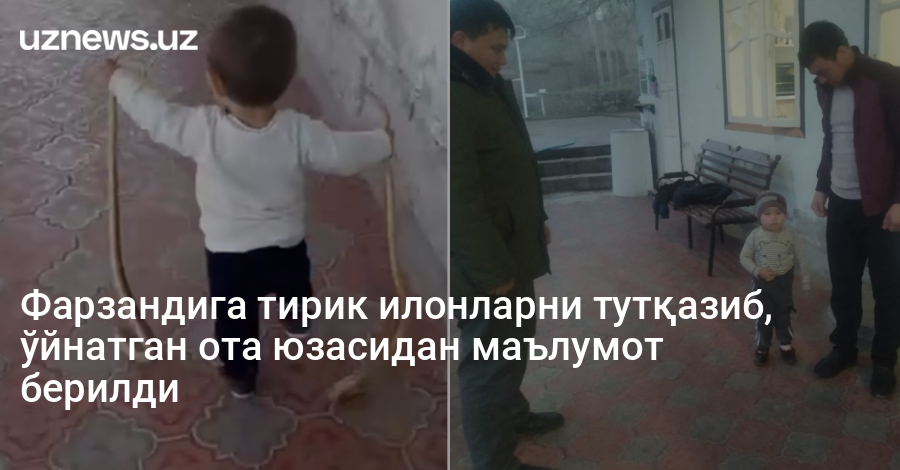 Фарзандига тирик илонларни тутқазиб, ўйнатган ота юзасидан маълумот берилди