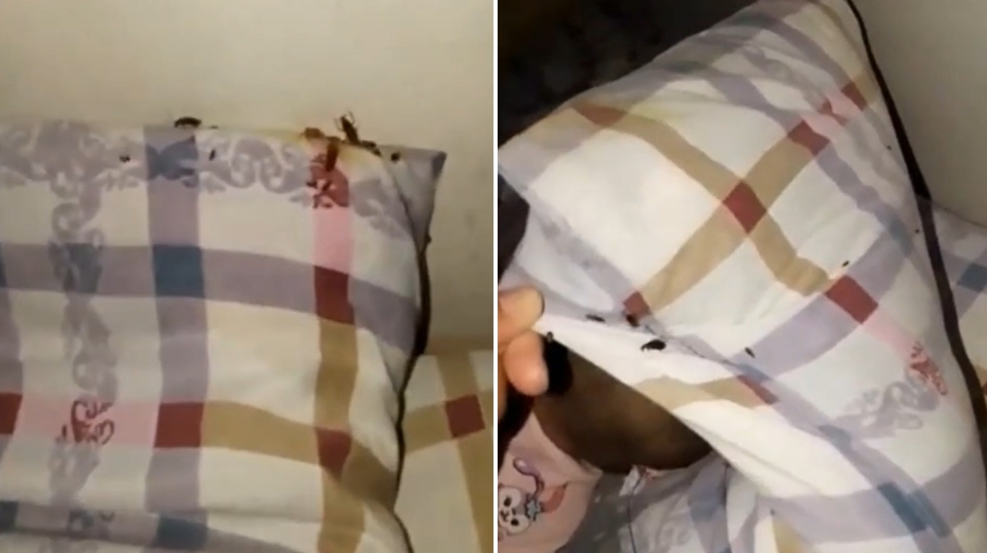 Қашқадарёдаги болалар шифохонасини сувараклар босди — видео