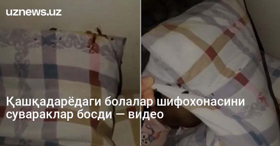 Қашқадарёдаги болалар шифохонасини сувараклар босди — видео