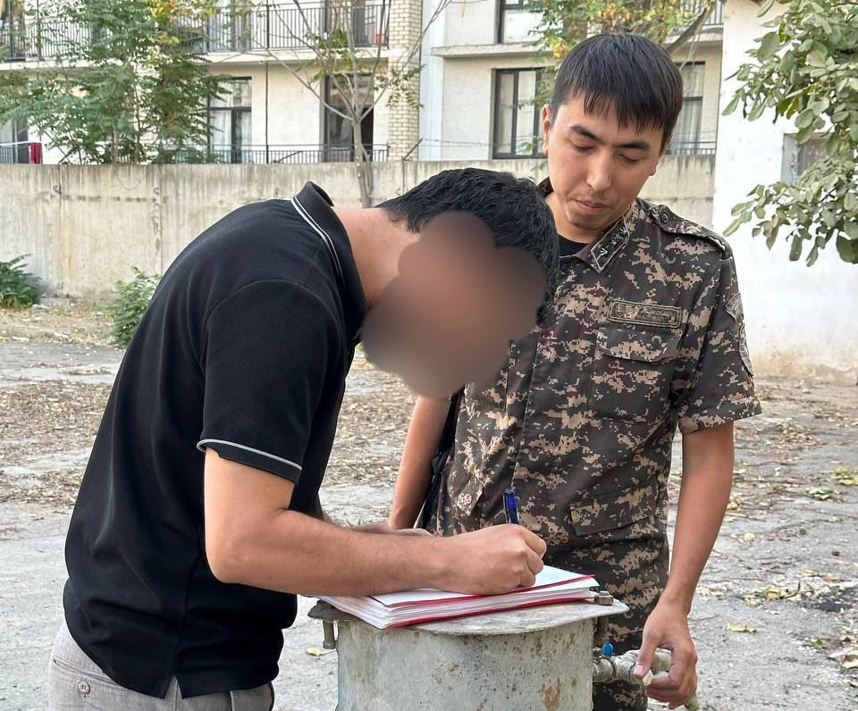 Тошкентда Айлант дарахти кесиб ташланди