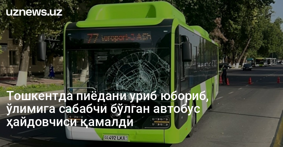 Тошкентда пиёдани уриб юбориб, ўлимига сабабчи бўлган автобус ҳайдовчиси қамалди