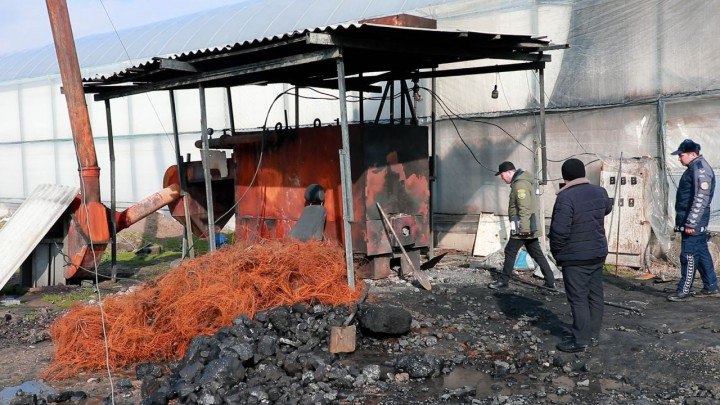 Тошкентдаги иссиқхоналардан бирида автомобиль шиналари ёқилгани аниқланди