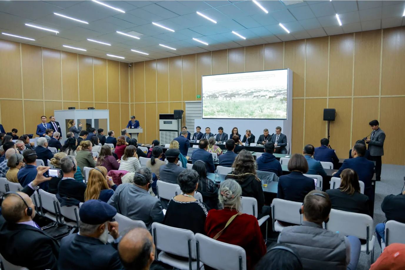 O‘zbekiston va Qozog‘iston sayg‘oqlarni muhofaza qilish borasidagi yangi chaqiriqlarni muhokama qildi
