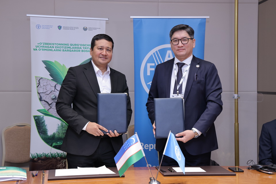 FAO va O‘zbekiston o‘rtasida o’rmon va yer degradatsiyasiga qarshi kurash bo‘yicha hamkorlik mustahkamlanmoqda