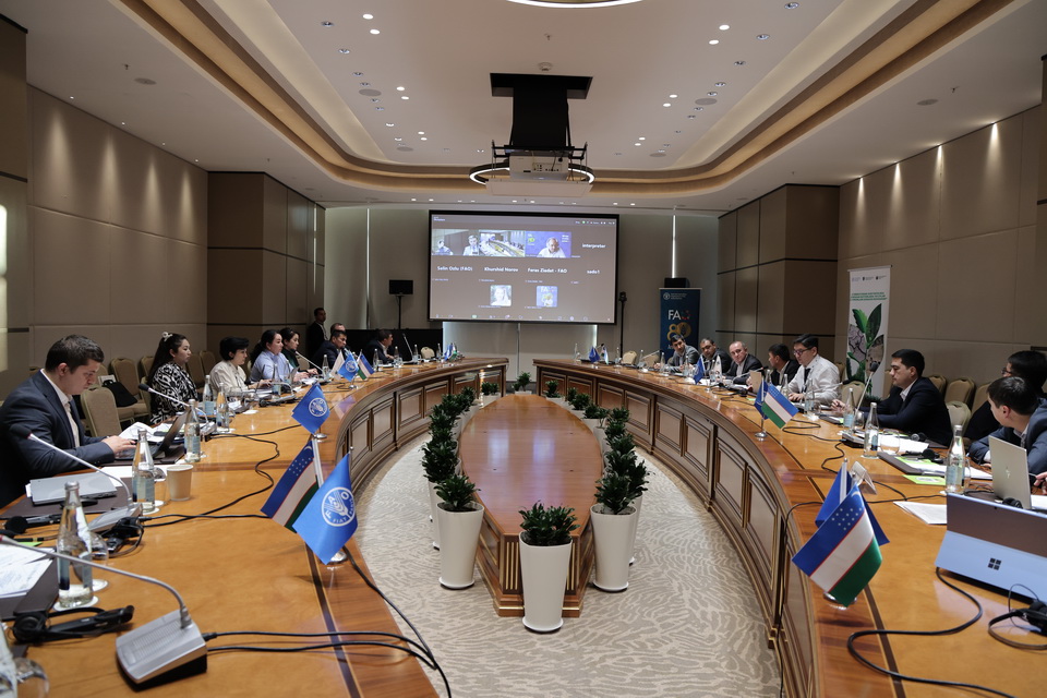 FAO va O‘zbekiston o‘rtasida o’rmon va yer degradatsiyasiga qarshi kurash bo‘yicha hamkorlik mustahkamlanmoqda