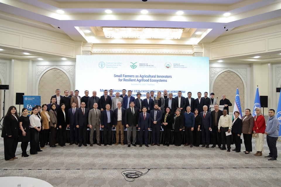 FAO va O‘zbekiston kichik fermerlarni qo‘llab-quvvatlashga qaratilgan mintaqaviy loyihasini yakunlamoqda