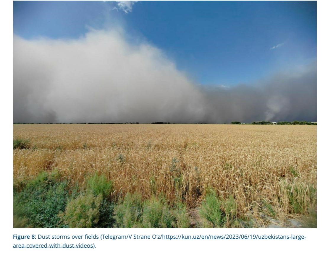 Ўзбекистонда қум ва чанг бўронлари: чидамли ландшафтлар учун стратегик ўсимликлар ва минтақавий чора-тадбирлар