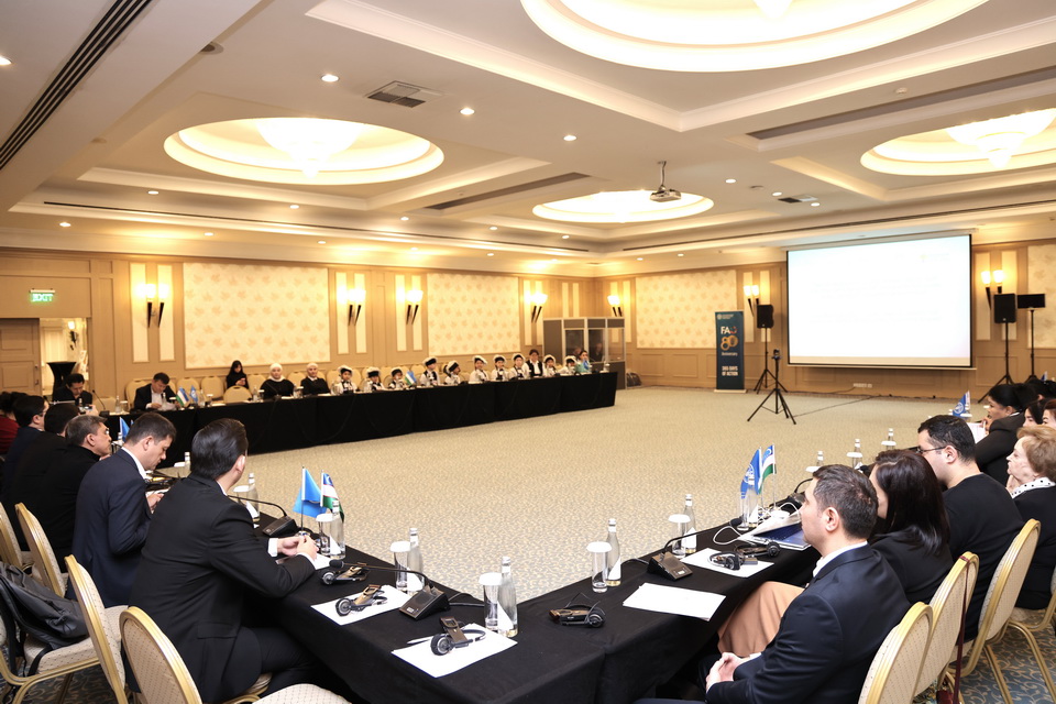 FAO ko‘magida maktablarda ovqatlanish tizimini takomillashtirish bo‘yicha loyiha yakunlandi