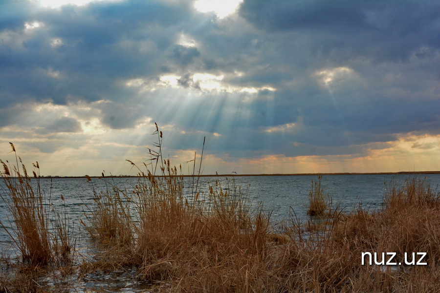 Иқлим иқтисодиёт каби: Ўзбекистон учун “яшил трансформация” нега муҳим?