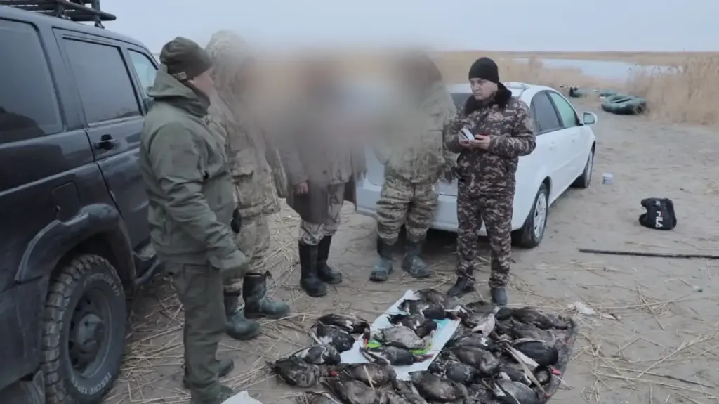 Бухорода ноқонуний ов ва йўлбарссимон бўғма илон билан боғлиқ ҳуқуқбузарликлар аниқланди