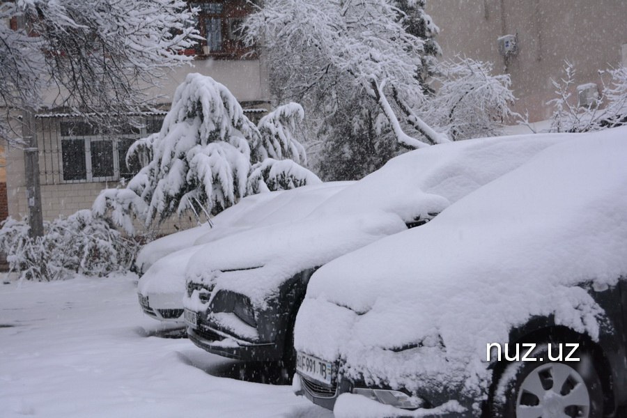 Келаётган ҳафта кунларига об-ҳаво прогнози