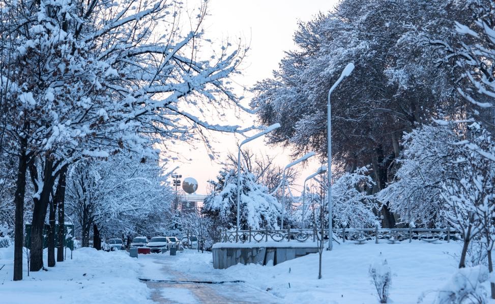 29 январь куни Ўзбекистонда об-ҳаво қандай бўлади