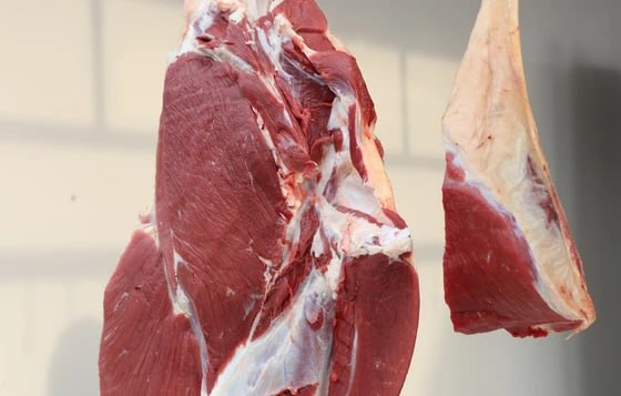 Ўзбекистон Нипах вируси сабабли Ҳиндистондан ҳайвонлар ва паррандалар импортини тўхтатди