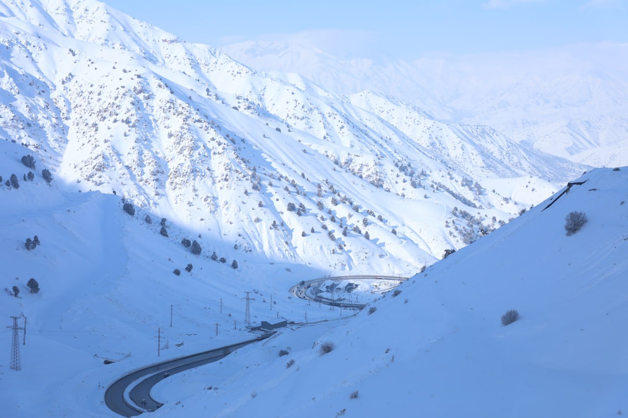 «Қамчиқ» довонида ҳаракат вақтинча тикланади, кечга яқин яна чекланиши мумкин