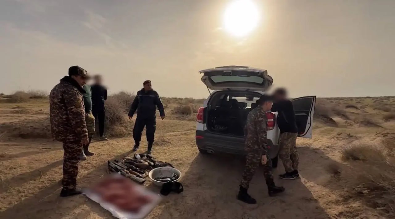 Термиз туманида ноқонуний ов қилиш ҳолати аниқланди