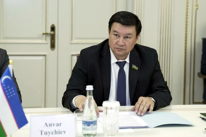 Сенатор Тошкент шаҳри ҳокимига қаровсиз ҳайвонларни ҳимоялаш бўйича сўров юборди