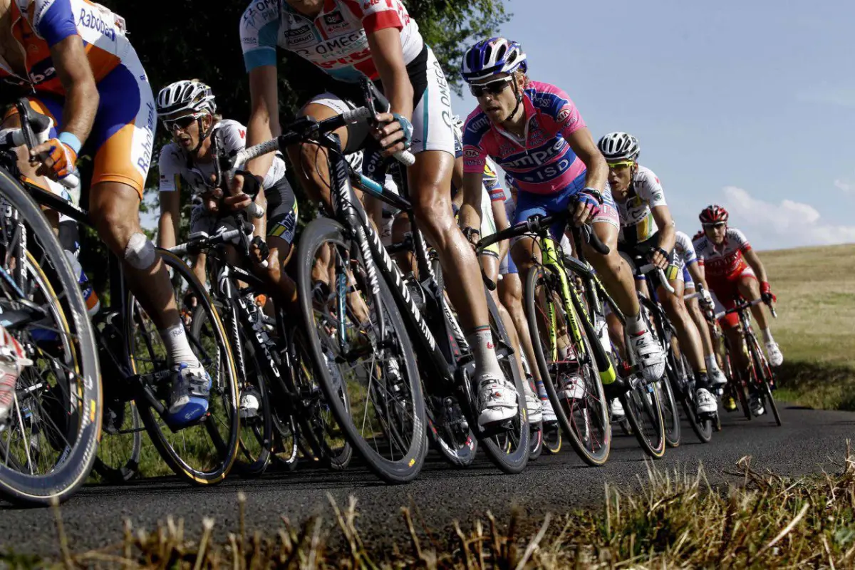 Тошкент халқаро марафони — очиқлик ва спорт рамзи