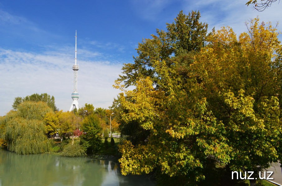 Ўзбекистонда совуқ антициклон туфайли ҳаво сифати вақтинча ёмонлашиши кутилмоқда