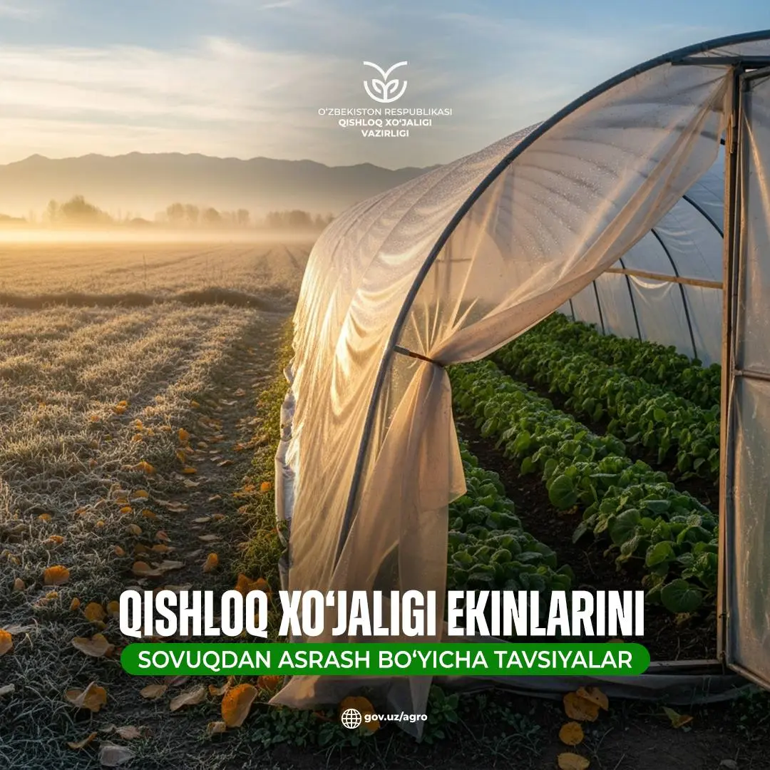 Қишлоқ хўжалиги экинларини ҳимоя қилиш бўйича тавсиялар берилди