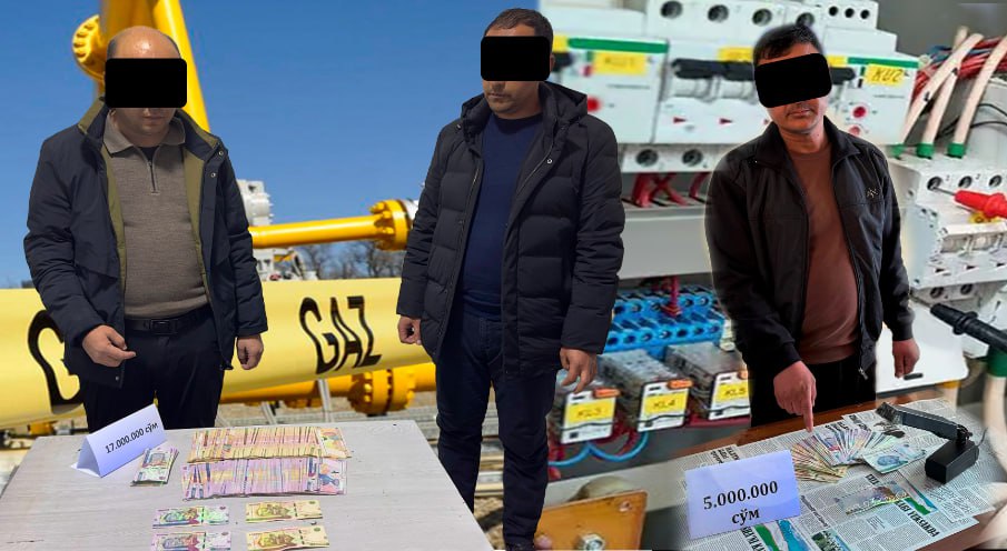 Наманган ва Сурхондарёда электр ва газ соҳасидаги коррупция ҳолатлари аниқланди
