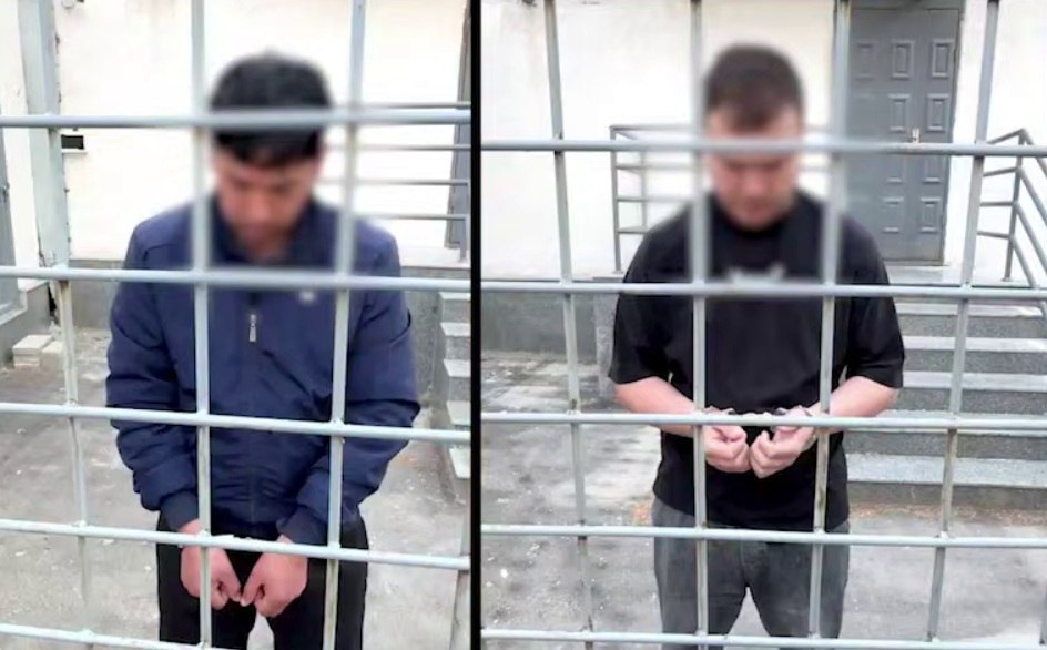 Бўстонлиқда ҳайвонларга нисбатан шафқатсизлик учун жазо тайинланди