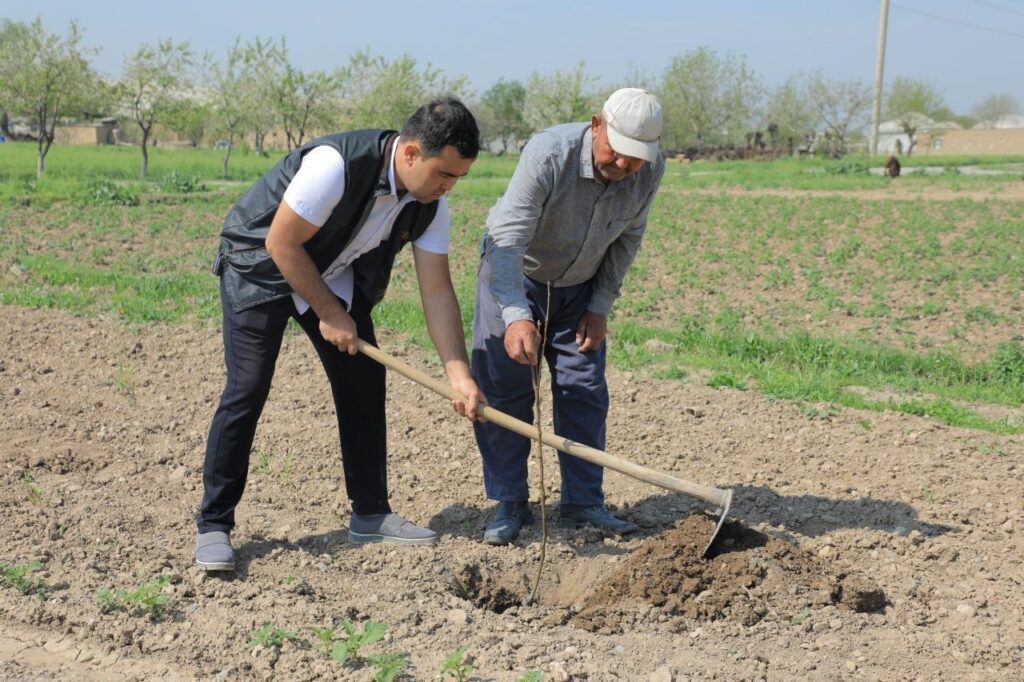 Ховосда 40 мингдан ортиқ кўчат экиш акцияси ўтказилди