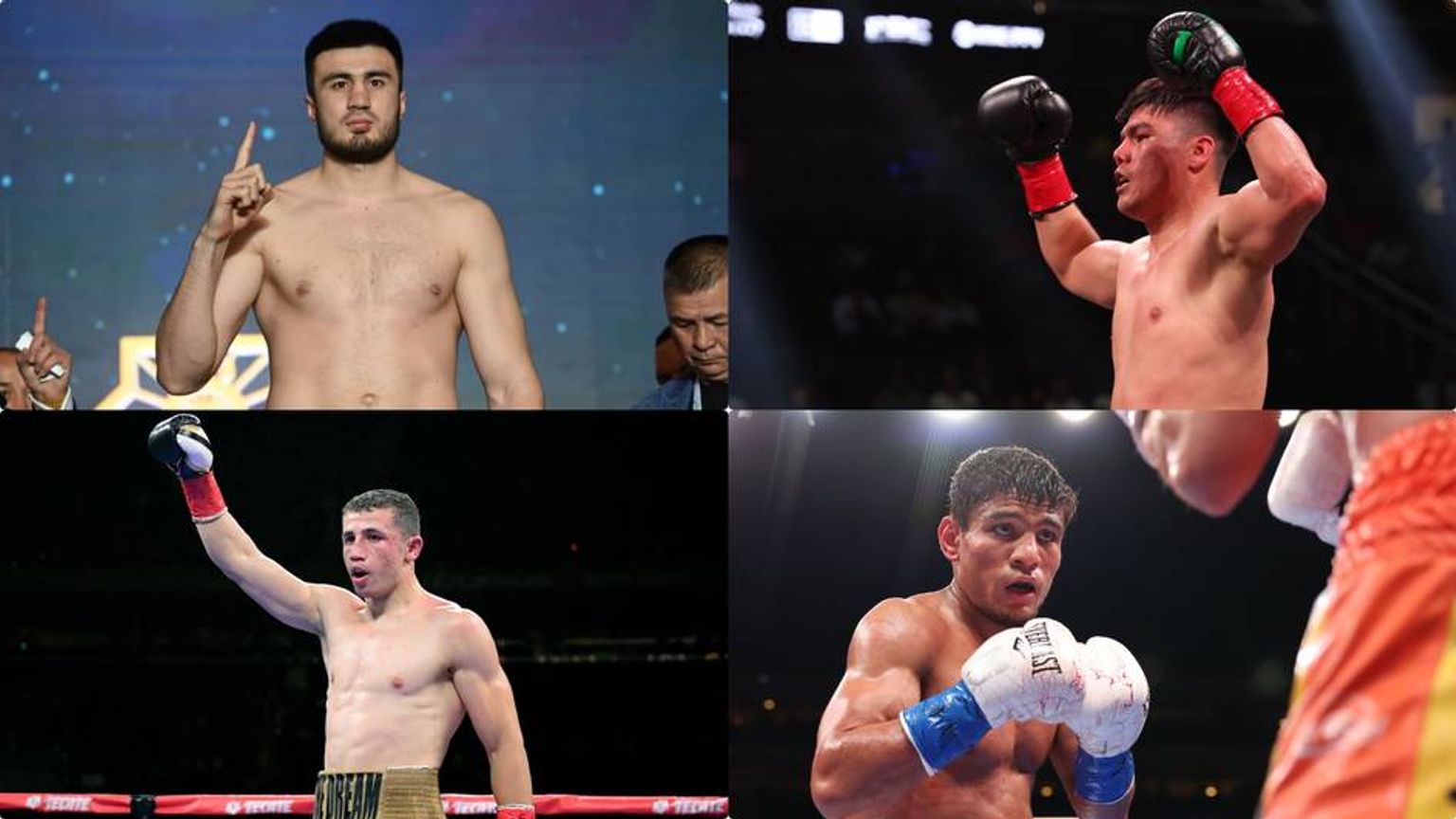 WBC рейтинги янгиланди. Ўзбекистонлик боксчиларнинг ўрни қандай?