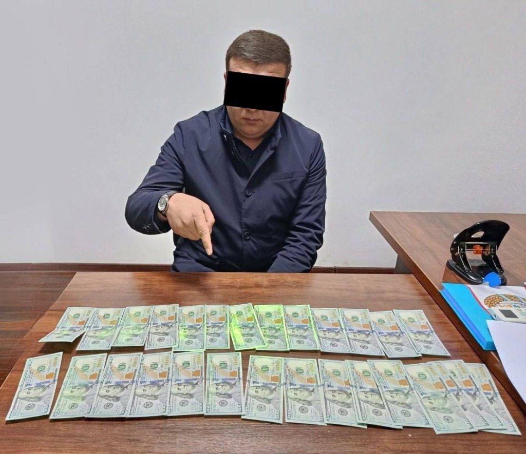 Ўзбекистонда хорижда ишга жойлаштиришни ваъда қилган фирибгарлар қўлга олинди