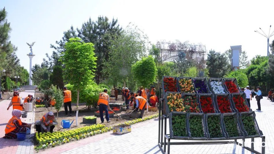 Наманган рекорд сари интилаяпти: шаҳарда 150 миллион гул экилади