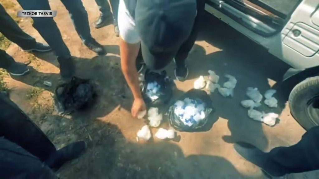 Тошкент вилоятида яширин нарколаборатория фаолияти тўхтатилди