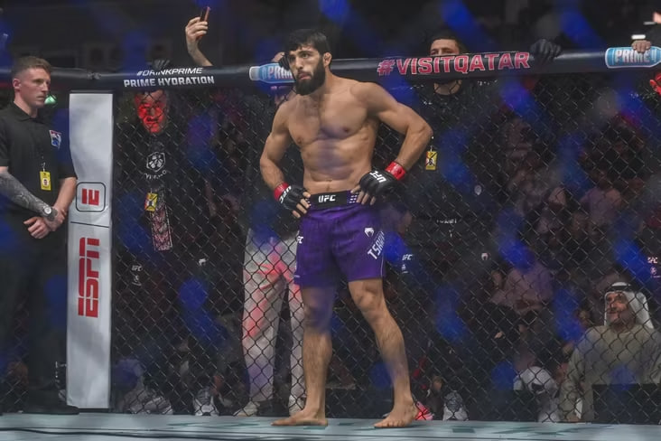 Арман Царукян, Руффи, Ван ва Пантожа UFC 331 турнирида қанча ишлаб топгани маълум бўлди