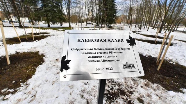 Минск шаҳридаги Чингиз Aйтматов номидаги истироҳат боғига 26 туп чинор экилди