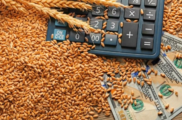 2023 йил учун буғдойни харид қилиш ва сотиш тартиби тасдиқланди