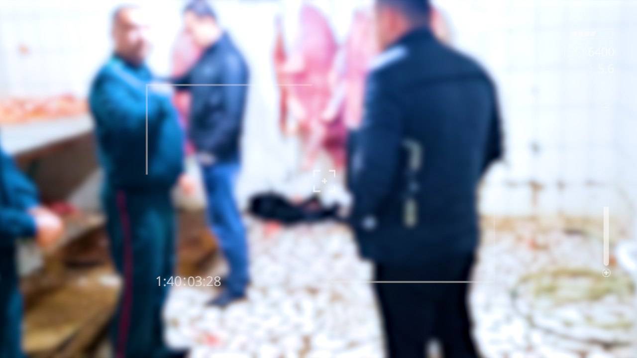 Тошкент вилоятида ноқонуний қушхонадан салкам 1,3 тонна истеъмолга яроқсиз гўшт топилди — фото