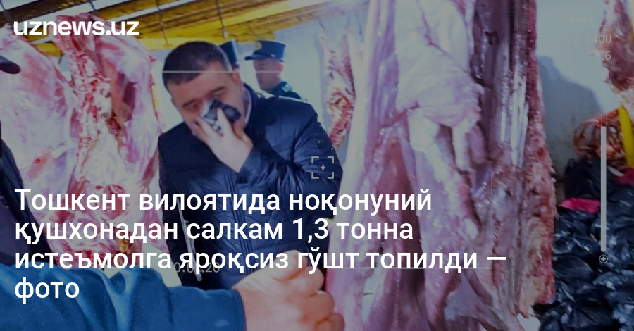 Тошкент вилоятида ноқонуний қушхонадан салкам 1,3 тонна истеъмолга яроқсиз гўшт топилди — фото