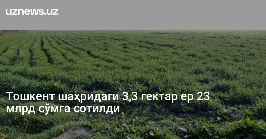 Тошкент шаҳридаги 3,3 гектар ер 23 млрд сўмга сотилди
