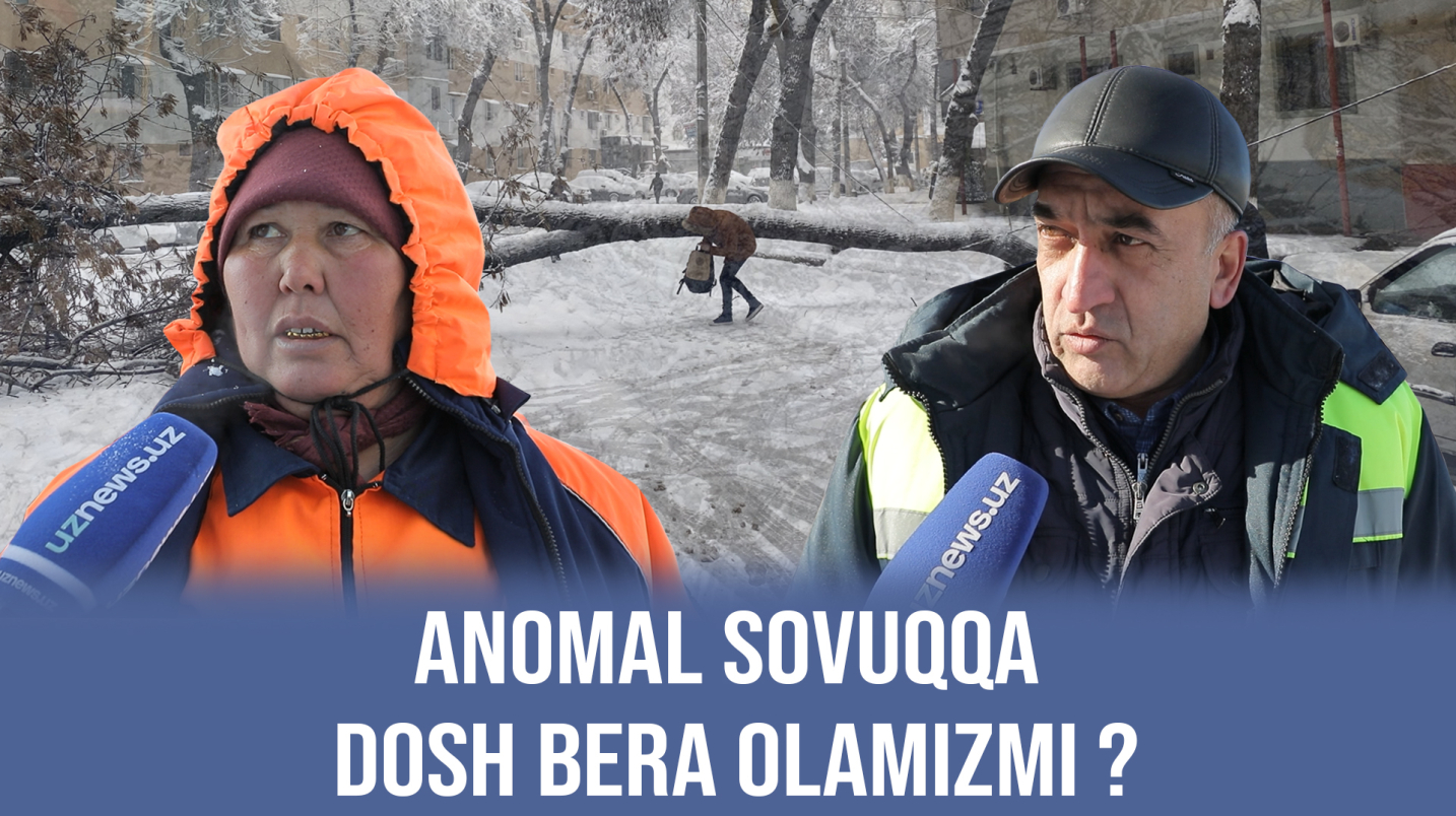 Юриб бўлмайдиган музлама йўллар, қулаган дарахтлар... Аномал совуқ қандай кутиб олинди?