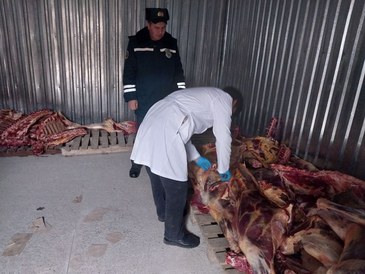 Сирдарёда ЙПХ масканида келиб чиқиши номаълум бўлган 2,6 тонна ҳайвон гўшти тўхтатиб қолинди