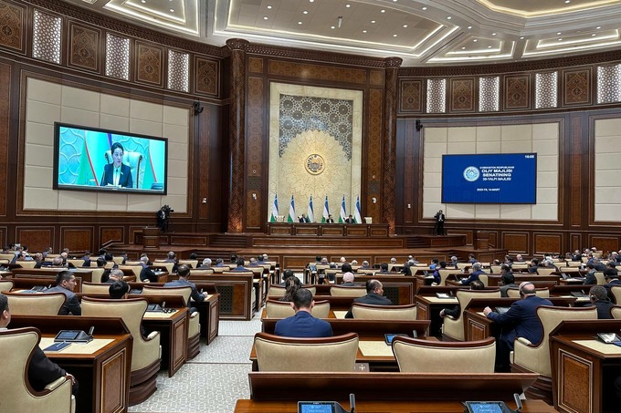 Сенат Конституциявий қонунни ва уни референдумга қўйишни маъқуллади