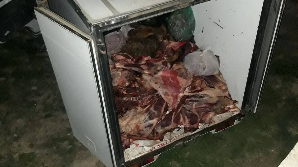 Самарқандда 1 тонна истеъмолга яроқсиз гўштларни Тошкентга олиб келаётган шахс қўлга олинди