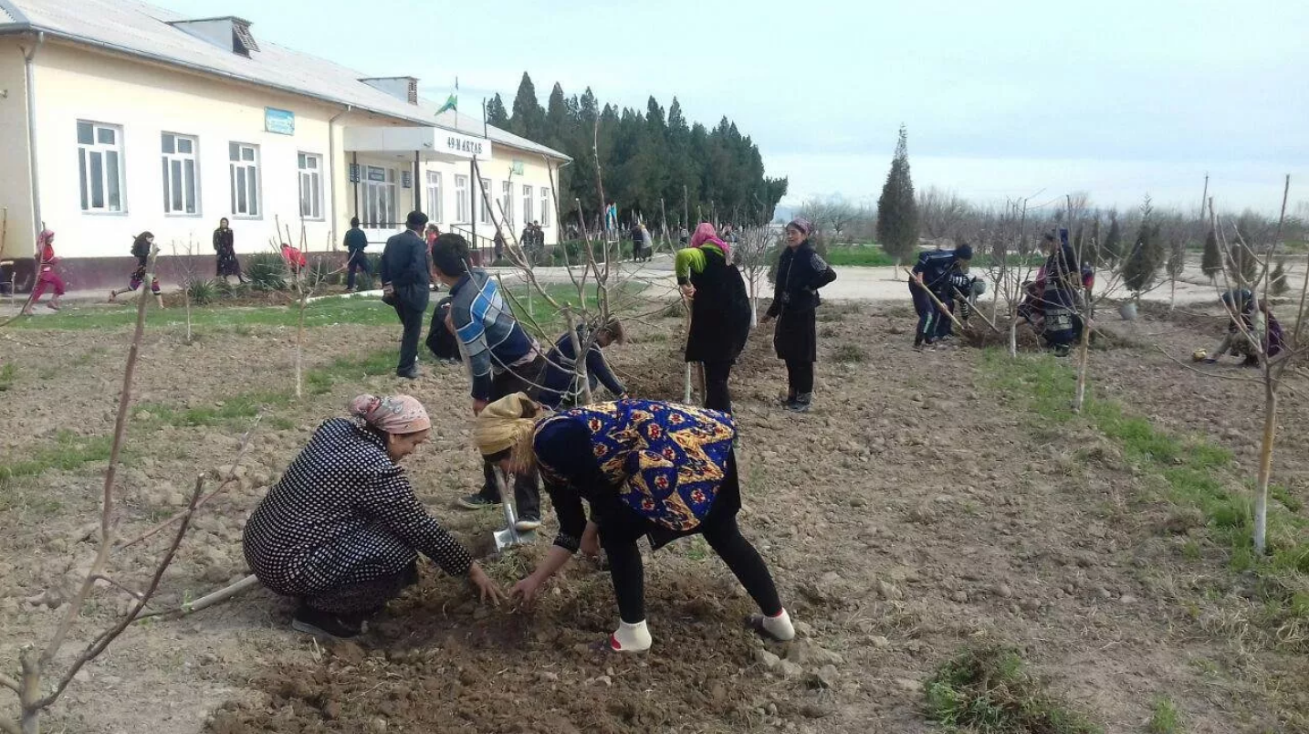 Педагогларни мажбурий меҳнатга жалб қилганлик учун алоҳида жиноий жавобгарлик белгиланди