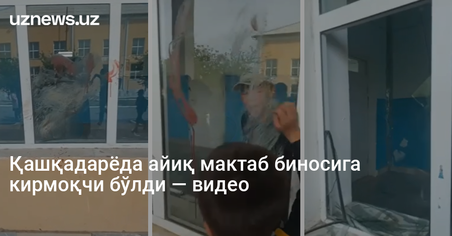 Қашқадарёда айиқ мактаб биносига кирмоқчи бўлди — видео