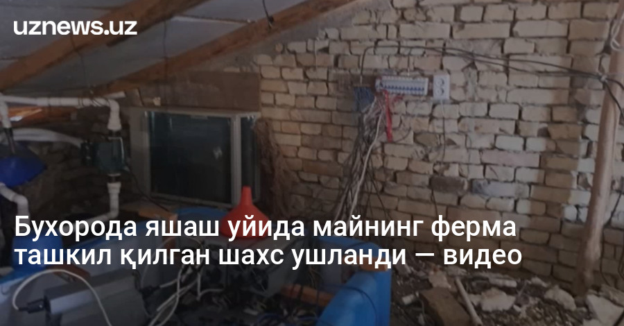 Бухорода яшаш уйида майнинг ферма ташкил қилган шахс ушланди — видео
