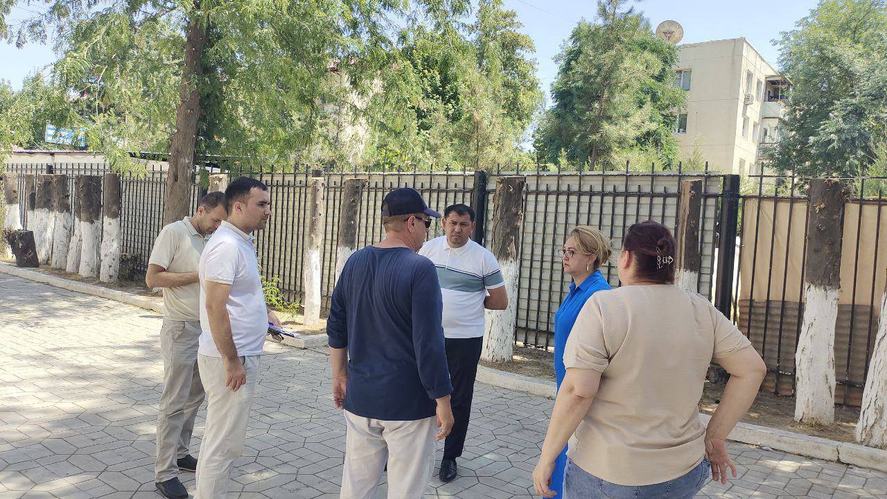 Тошкентдаги мактаб ҳудудида кўп йиллик дарахтлар кесиб ташланди — фото