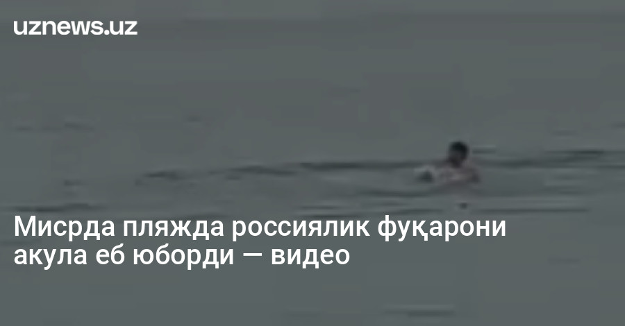 Мисрда пляжда россиялик фуқарони акула еб юборди — видео