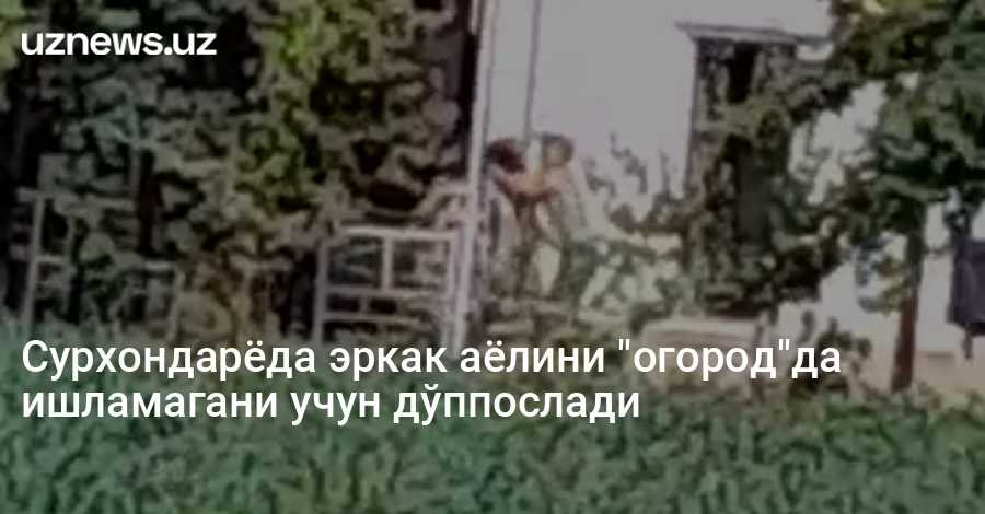 Сурхондарёда эркак аёлини "огород"да ишламагани учун дўппослади