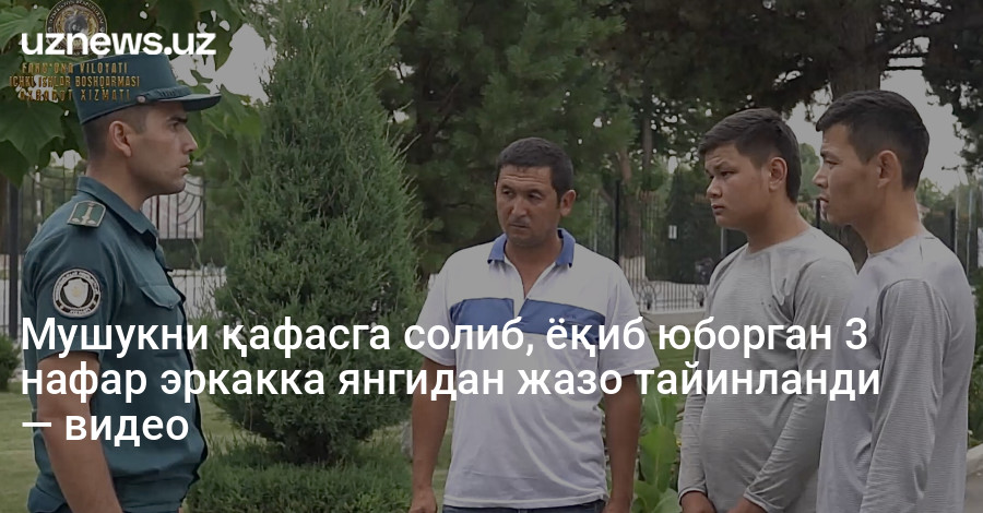 Мушукни қафасга солиб, ёқиб юборган 3 нафар эркакка янгидан жазо тайинланди — видео