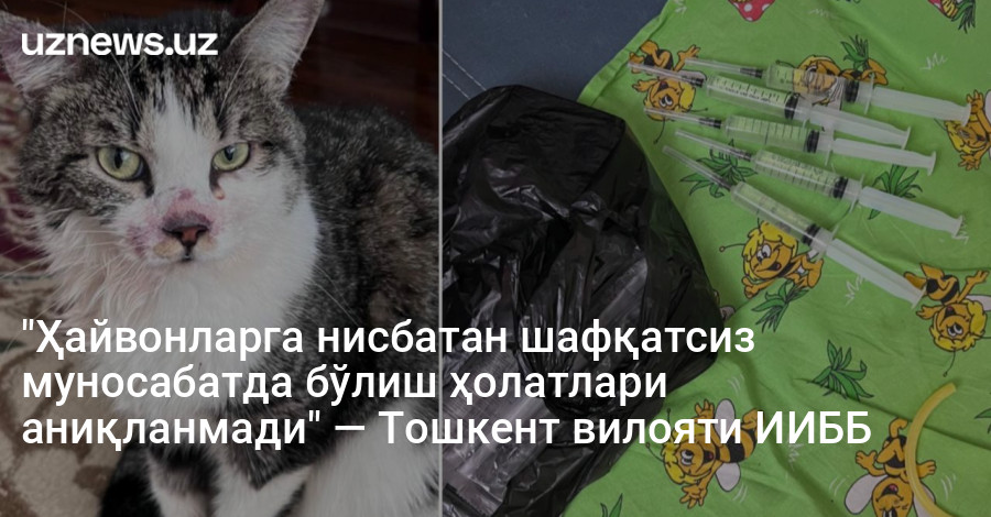 "Ҳайвонларга нисбатан шафқатсиз муносабатда бўлиш ҳолатлари аниқланмади" — Тошкент вилояти ИИББ